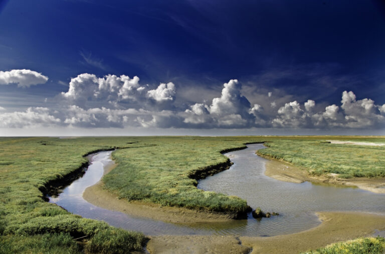 FLORIDA-NATIONAL-PARKS